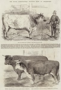 Výstava Královské zemědělské společnosti v Chelmsfordu od Harrison William Weir