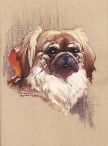 Červená stuha od Harry Rountree