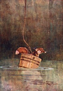 Vlk a liška (barva lito) od Harry Rountree