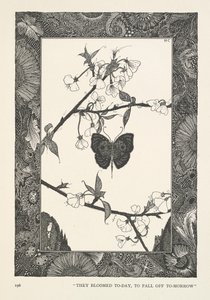 Motýl. Dnes vykvetly, zítra opadnou. od Harry Clarke