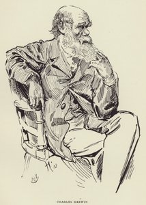 Charles Darwin od Harry Furniss