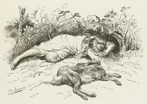 Ilustrace pro Sylvie a Bruna od Lewise Carrolla od Harry Furniss
