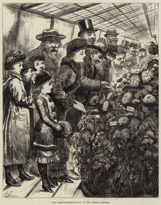 Výstava chryzantém v chrámových zahradách od Harry Furniss
