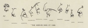 Mají to Noes-es (tj. nosy politiků) - 1883 (litho) od Harry Furniss