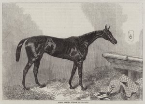 Královna Bertha, vítězka Oaks