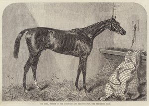 Vévoda, vítěz Goodwood a Brighton Cup od Harry Hall