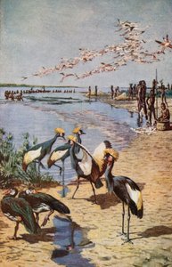 Severní pobřeží jezera Čad, jak je viděl Denham v roce 1822 od Harry Hamilton Johnston