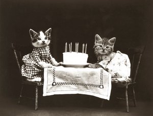 Série Kitties: 1914 (stříbrný tisk)