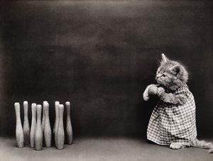 Série Kitties: 1914 (stříbrný tisk)