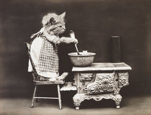 Série Kitties: 1914 (stříbrný tisk)