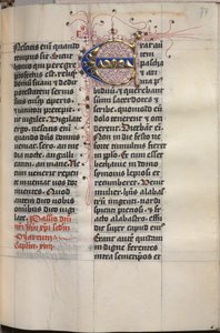 Kniha evangelia s portréty evangelistů: zdobená iniciála, c. 1480. od Hausbuch Master