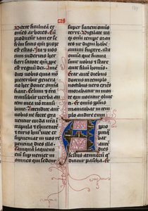 Kniha evangelia s portréty evangelistů: zdobená iniciála, c. 1480.