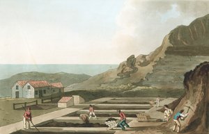 Celkový pohled na kamencovou práci v oblasti Whitby, Yorkshire, 1814 od Havell and Son
