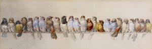 A Perch of Birds, c.1880 (akvarel a grafit na papíře)