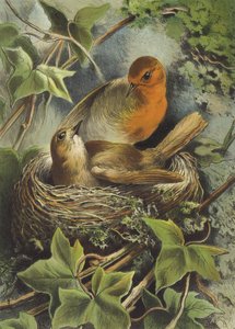 Robin a jeho hnízdo (chromolitho) od Hector Giacomelli