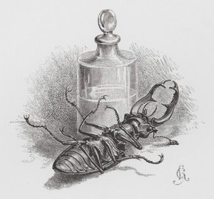 Závěsný od Hector Giacomelli