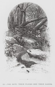 Závěsný od Hector Giacomelli