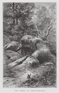 Hmyz: Les Fontainebleau (rytina) od Hector Giacomelli