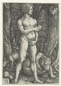 Adame od Heinrich Aldegrever