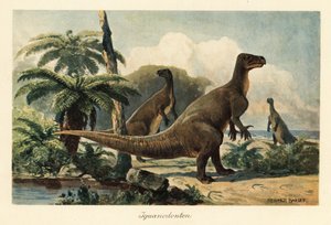 Iguanodon bernissartensis v pravěkém kapradinovém lese.