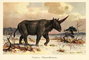 Sibiřský jednorožec, Elasmotherium sibiricum, na zasněžené pláni.