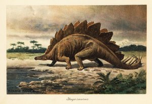 Stegosaurus armatus z pozdní jury.