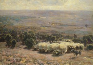 Stádo ovcí v Luneburger Heide, 1902