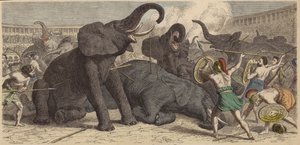 Zabíjení zajatých slonů v římské aréně od Heinrich Leutemann