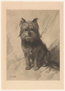Holandský smoushund od Heinrich M. Krabbé