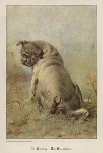 A Troublemaker (barevné rytí) od Heinrich Sperling
