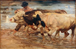 Farmhand s krávou a volem