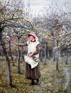 Blossom Time (akvarel na papíře) od Helen Allingham