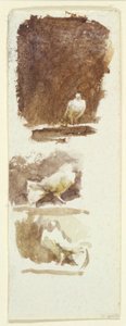 Doves (wc na papíře) od Helen Allingham