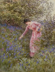 Gathering Bluebells (wc s barvou těla na papíře) od Helen Allingham