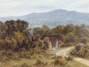 Hindhead ze Sandhills, Witley (akvarel na papíře) od Helen Allingham