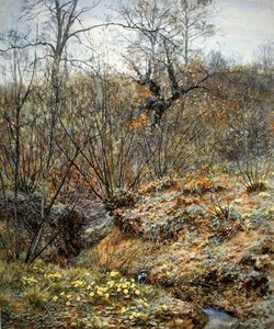 Jarní mlází, Witley, Surrey (akvarel na papíře) od Helen Allingham
