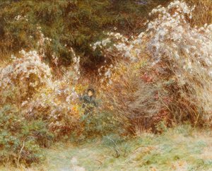 Travelers Joy: A Surrey Hedgerow (wc na papíře) od Helen Allingham