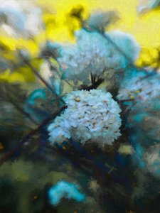 Kvetoucí květen, 2019 od Helen White