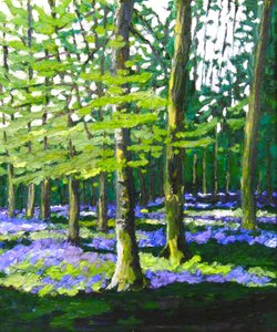 Bluebell Wood, 2009 (olej na plátně) od Helen White