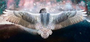 Dare to Fly, 2019 od Helen White