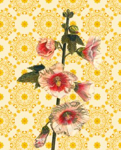 Hollyhocks on Sunshine, 2021 (akvarel) od Helen White