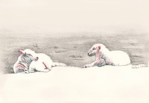 Napping, 2016, (kresba tužkou) od Helen White