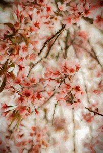 Orientalis, 2020 od Helen White