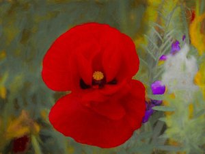 Scarlet, 2019 od Helen White