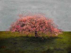 Stand Alone Beauty, 2019 od Helen White