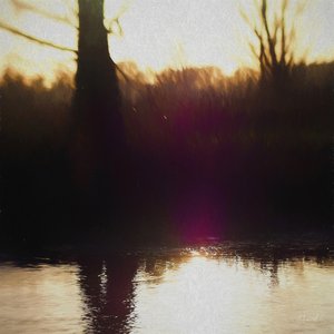 Violet Haze, 2018, od Helen White