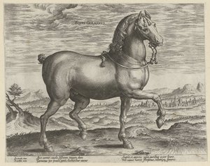 Hřebec z Německa Eqvvs Germanvs (název na objektu) Plemena koní z královské stáje Dona Juana z Rakouska (název seriálu) Equile Ioannis Austriaci Caroli (název série) od Hendrick Goltzius (possibly)