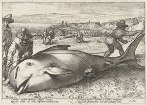 Uvízlý pilot velryba na pláži v Zandvoort, 1594 od Hendrick Goltzius (workshop of)