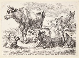 Portrét člena rodiny Outových. Cornelis Out (?) od Hendrick Goltzius