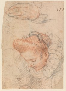 Skica s ženskou hlavou a rukou od Hendrick Goltzius